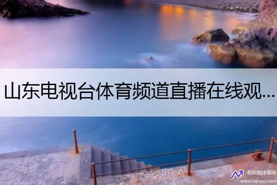 山东广播电视台体育频道在线直播(山东广播电视台体育频道现场直播观看)