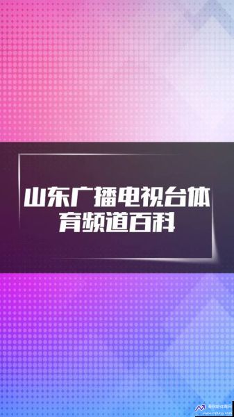 山东广播电视台体育频道在线直播观看手机版(山东广播电视台体育频道在线直播高清)