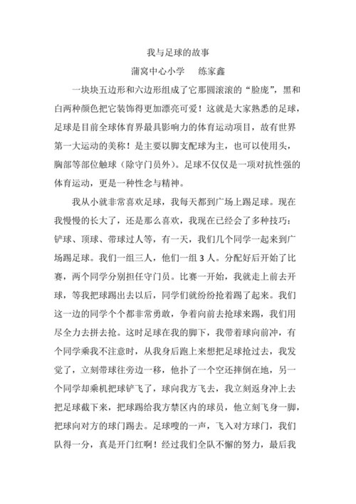 足球传说(足球传说30字)