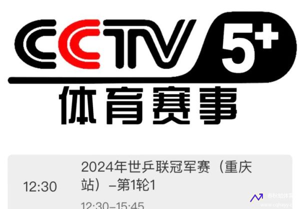 cctv5在线直播观看正在直播(cctv5在线直播观看正在直播高清)