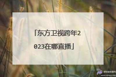 东方卫视直播观看(东方卫视直播观看回放)