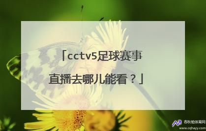 cctv5体育在线直播(cctv5体育在线直播观看足球)